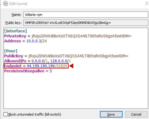 WireGuard endpoint.png